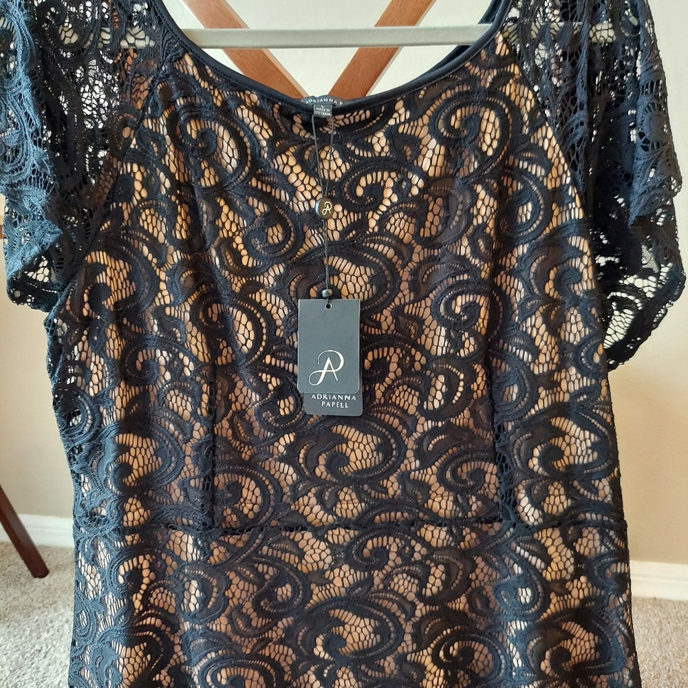NWT Adrianna Papell lace peplum top